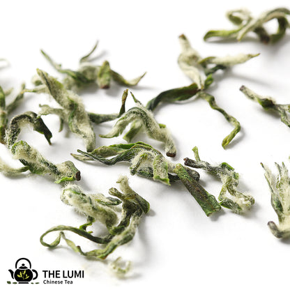 2024 Ming Qian Dong Ting Pi Lo Chun (Bi Lo Chun) Green Tea